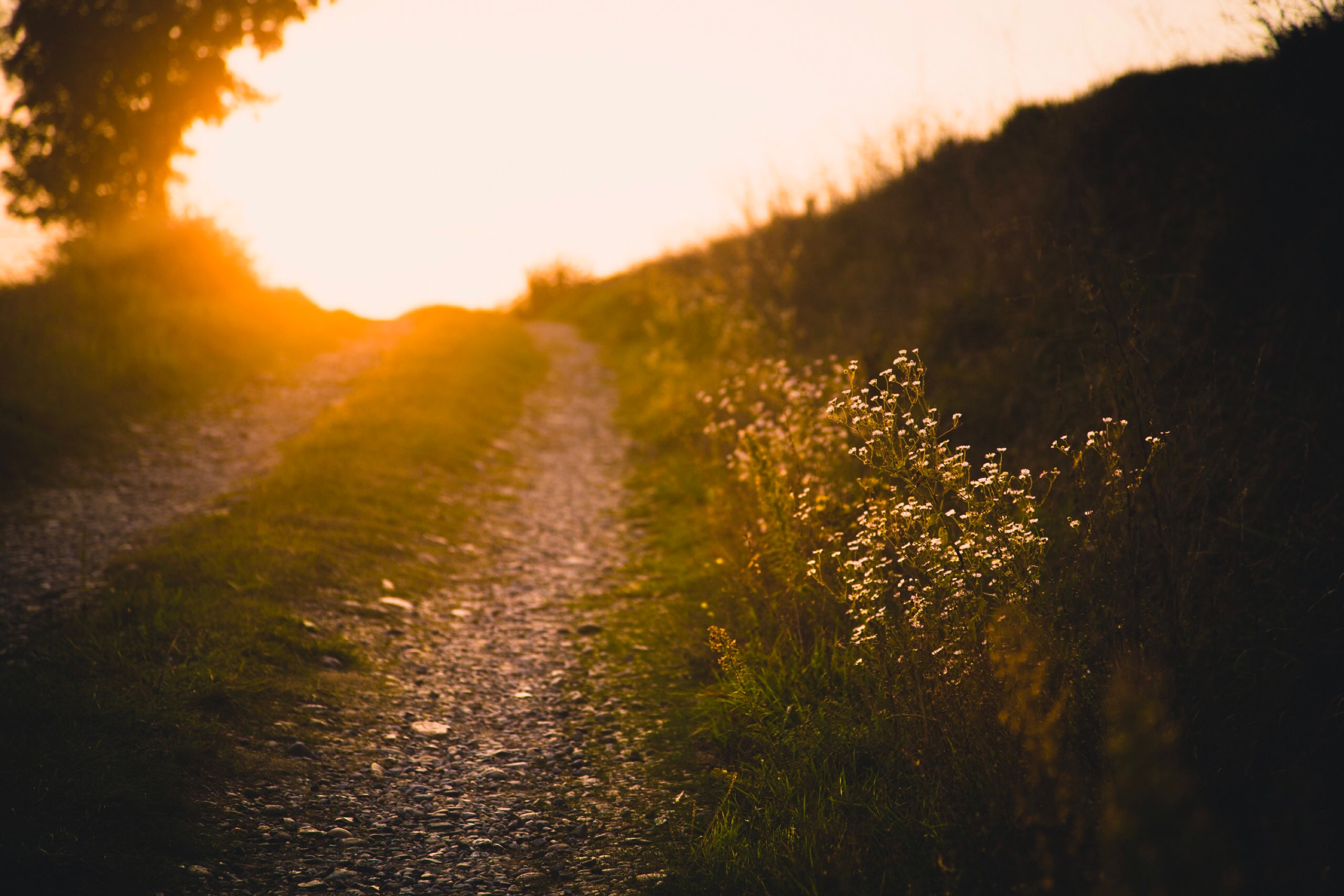 There’s nothing like a beautiful sunset to end a beautiful day.